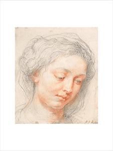 Head of a Woman Looking Downward