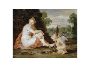 Venus and Cupid warming themselves (Venus frigida)